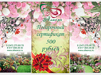 сертификат 500