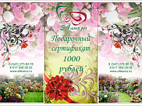 сертификат 1000
